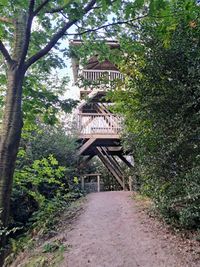 Uitkijktoren de Haelberg Epe